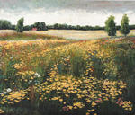 Tsvetuschits Meadow Herbs, Oil on Board, by Vladimir Murzinov Chattanooga Art Galleries Russian Painting 256