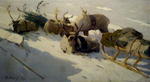 'Sunny Morning In The Tundra' by Vladimir M. Igoshev